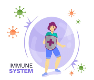 Healthy Immune System